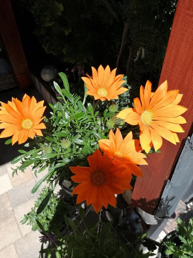 Usis_Ferienwohnung Im Harz كيدلينبورغ المظهر الخارجي الصورة